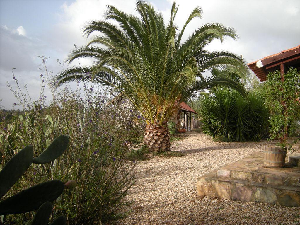 Monte Da Gravita - Casa Do Pinheiro Holiday home *